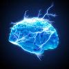 Photo for Epilepsy  – Market Insights, Epidemiology and Market Forecast-2023