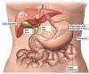 Photo for Gallbladder Cancer  – Market Insights, Epidemiology and Market Forecast-2023