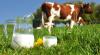 Photo for 24 Market Reports: Global Organic Milk Industry Situation and Prospects Research Report