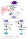Photo for Idiopathic Thrombocytopenic Purpura (ITP) – Market Insights, Epidemiology and Market Forecast-2023