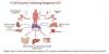 Photo for Graft versus Host Disease (GVHD) – Market Insights, Epidemiology and Market Forecast-2023- Japan