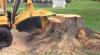 Photo for Arbor-Call Ltd