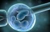 Photo for Global Stem Cells Market Professional Survey Report 2017