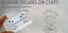 Photo for Organ-on-a-chip Market - Global Industry Insights, Trends
