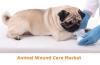 Photo for Animal Wound Care Market to Witness Double Digit CAGR by 2024