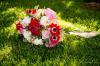 Photo for Alaskan Peony Flower