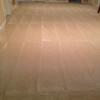 Photo for Spot On Floor and Carpet Rejuvenation