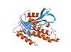 Photo for EMEA (Europe, Middle East and Africa) Dehydrogenases Market Report 2017