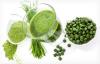 Photo for Global Chlorella Market Size & Share Research Analysis and Forecast, 2016 – 2024