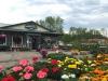 Photo for Landscaping Service In Ontario, NY