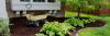 Photo for Lawn Mowing & Lawn Repair Service Near You