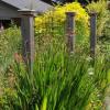 Photo for Yard Fencing Guys