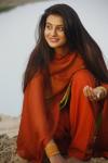 Photo for Mp3bhojpurisong.com : : Free Download New Bhojpuri Mp3 Songs Free