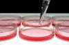 Photo for In Vitro Toxicology Testing Market Set for Rapid Growth by 2024