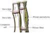Photo for EMEA (Europe, Middle East and Africa) Phloem Fibre Market Report 2017