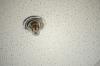 Photo for Global Fire Sprinkler Heads Sales Market to Record High Demand by 2017 – 2022