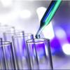 Photo for In Vitro Diagnostics (IVD) Market Size & Share Outlook up to 2024