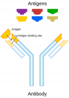 Photo for Antibody Production Market – Size, Share, Growth, and Forecast, 2017 – 2025