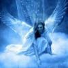 Photo for Angels and Alchemy