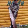 Photo for Oak Haven Resort & Campground