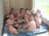 Photo for Hot Tub Maintenance Guys