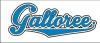 Photo for Galloree T-Shirt Charity