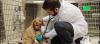 Photo for Veterinary Specialists