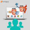 Photo for Reasons for Hire HTML5 Developers