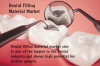 Photo for Dental Filling Material Market – Global Industry Insights, Trends, and Opportunity Analysis, 2016–2024