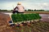 Photo for Global Rice Transplanter Market Research Report Forecast 2017 to 2021