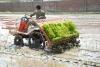 Photo for 2012-2022 Global Transplanting Machine Industry Report