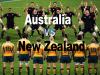 Photo for All Blacks vs Wallabies Live Stream