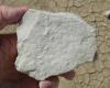 Photo for United States Diatomite Market by Manufacturers, States, Type and Application, Forecast to 2022