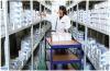 Photo for Global Pharmaceutical Logistics Market by Manufacturers, Countries, Type and Application, Forecast to 2022