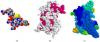 Photo for 2017 Top 5 Hormone Manufacturers in North America, Europe, Asia-Pacific, South America, Middle East and Africa
