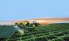 Photo for Precision Farming Market Predicted Double-Digit Growth Rate by 2021