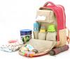 Photo for Global Baby Travel Bags Market Research Report 2017