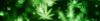 Photo for Cannabis & Medical Marijuana Delivery Service in USA