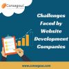Photo for Common Challenges Faced by Website Development Companies