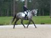 Photo for Sept. 13th - Stable View Schooling Dressage