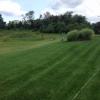 Photo for Green Pro Lawns