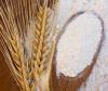 Photo for Global Wheat Starch Market - Report, Price Trends, Value And Forecast 2017-2022