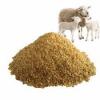 Photo for EMEA (Europe, Middle East and Africa) Medicinal Feed Additives Market Report 2017