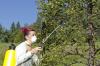Photo for Global Antibiotic Pesticide Market Research Report 2017