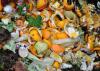 Photo for Global Fermentation Chemicals Market Research Report 2017