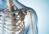 Photo for Global Orthobiologics Market Outlook 2020