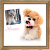 Photo for Turn your pets into custom stuffed animals!