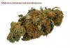 Photo for Medicinal Cannabis Market- Global Industry Insights, Trends, Outlook, and Opportunity Analysis, 2016-2024