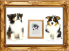 Photo for The Perfect Gift