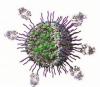 Photo for EMEA (Europe, Middle East and Africa) Nanotechnology Drug Delivery Market Report 2017
